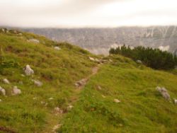 2013-09-08_6Falkenh-Steinfalk (296).JPG